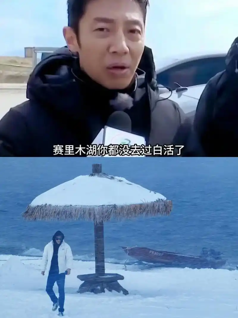 撒贝宁“白活梗”席卷电竞圈，选手集体破防：这波共鸣太真实